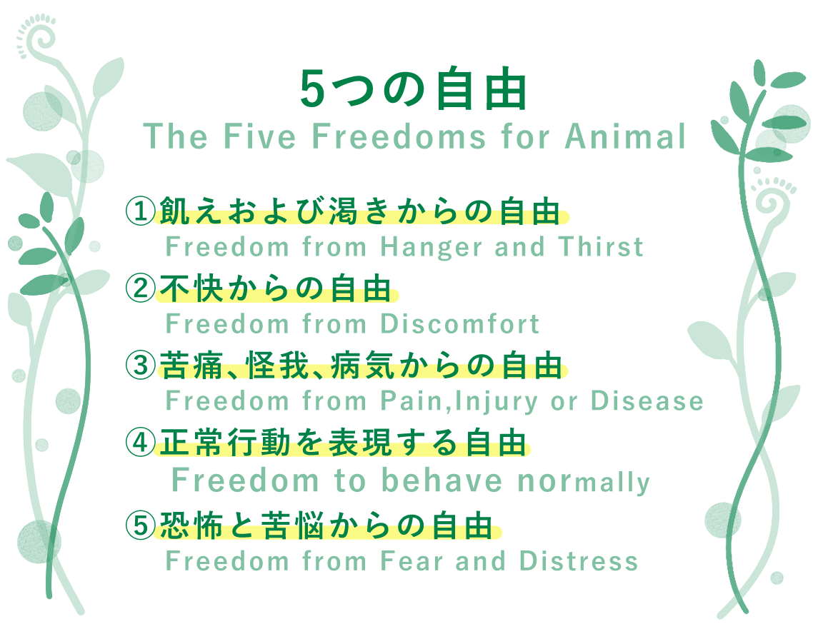 5つの自由